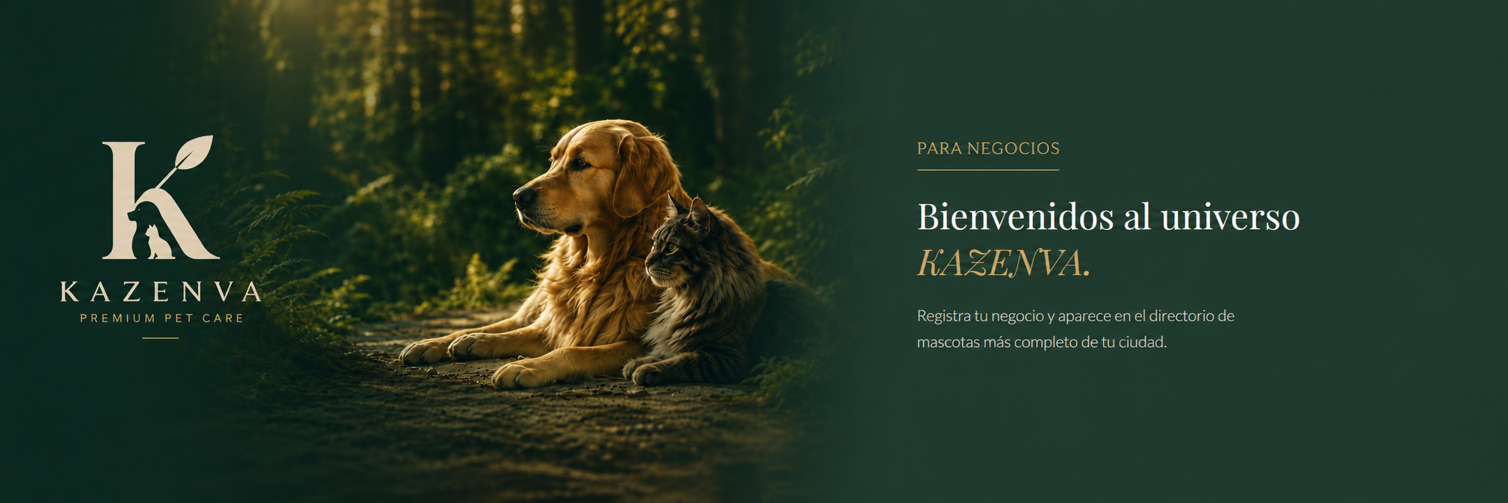 Kazenva — Bienvenidos al universo